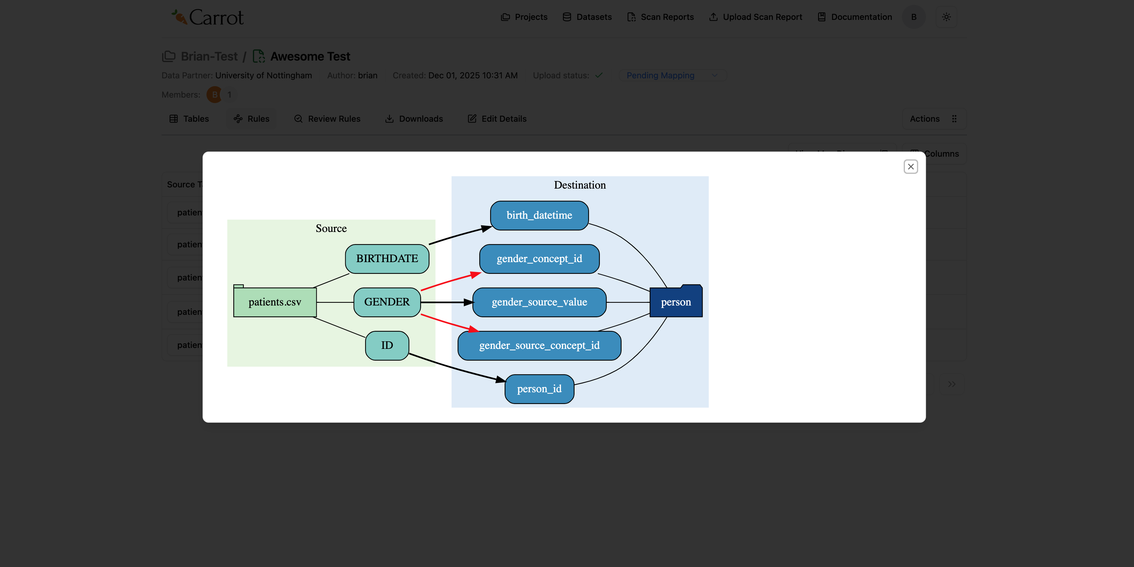 Carrot Mapper Mapping Diagram Visualization